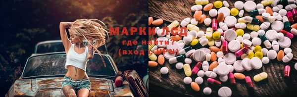 PSILOCYBIN Абдулино