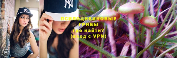 мяу мяу мука Абинск