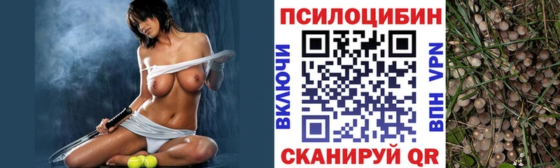 Псилоцибиновые грибы Cubensis  ОМГ ОМГ   Тула 