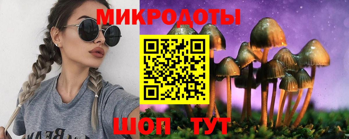 Псилоцибиновые грибы прущие грибы Тула